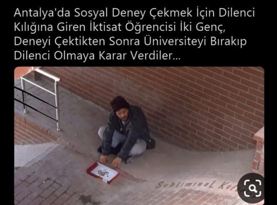 Üniversiteyi bırakıp neler yapabilirim?