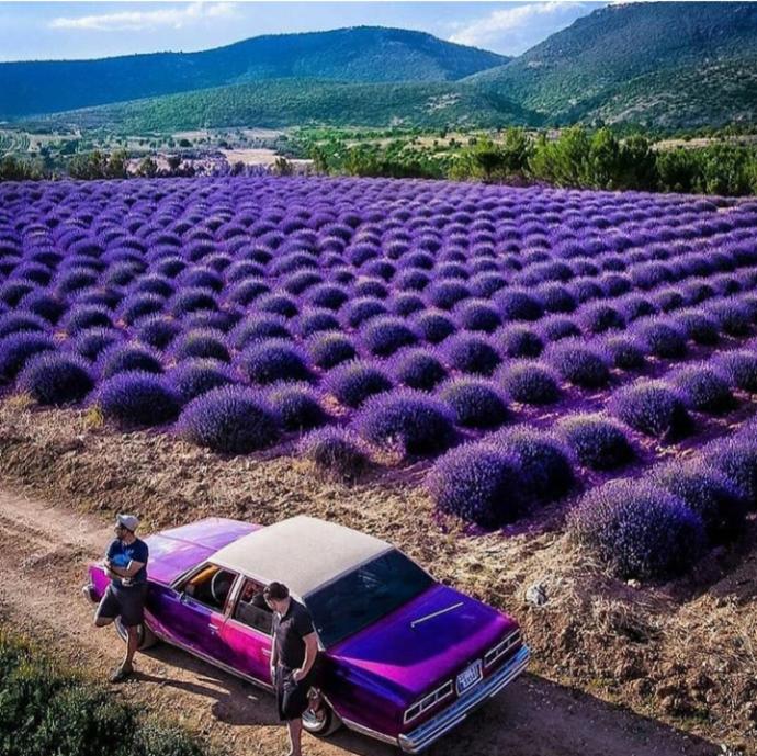 Böyle bir yerde kim olmak istemez ki?