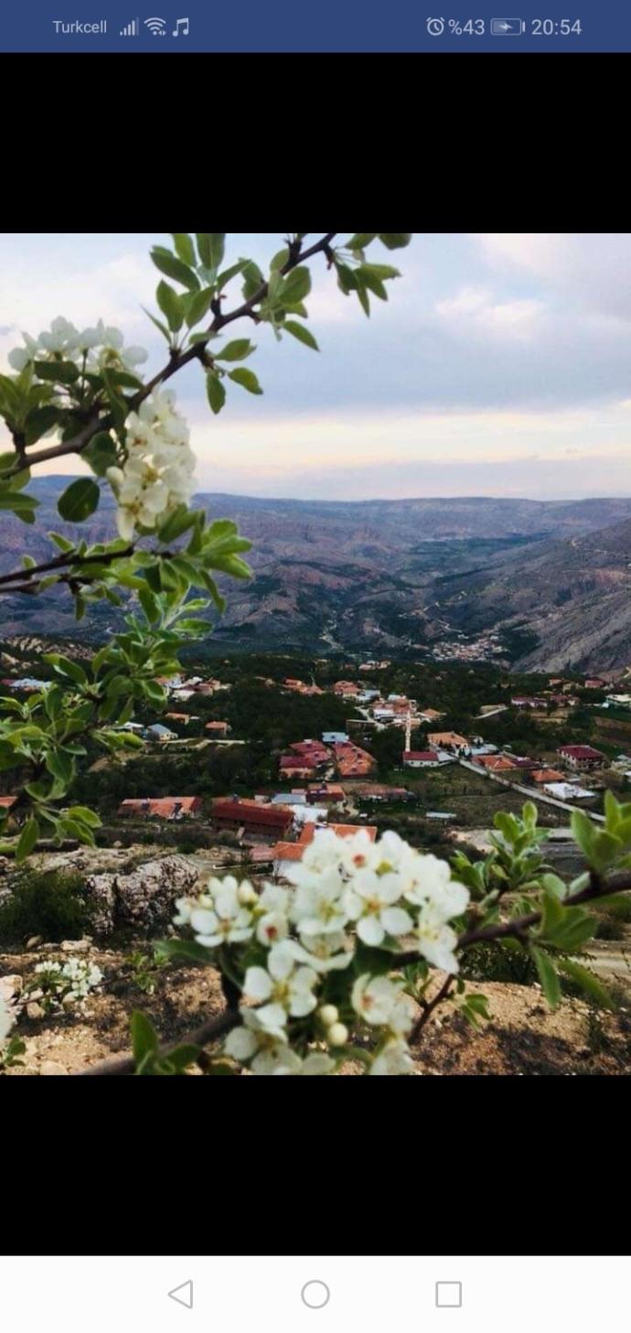 Şu anda olmak istediğin yerin görselini atar mısın?