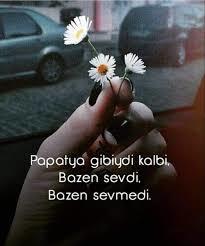 💓🌼 Sevmeyi bilir misiniz ; yoksa papatya gibi midir sizin de kalbiniz ?