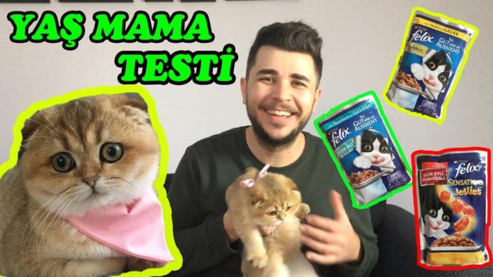 Felix yaş mama