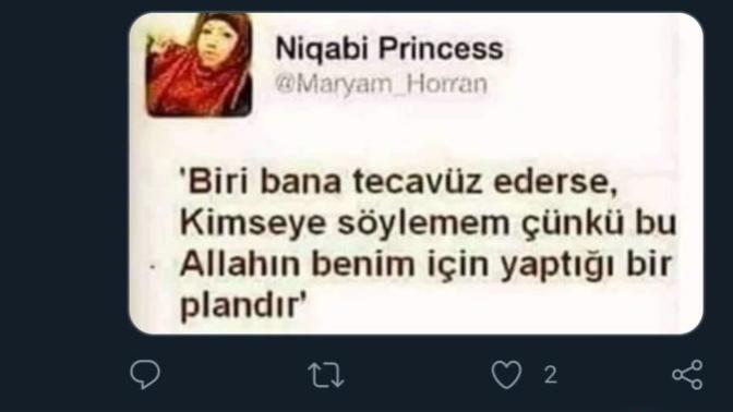 Bu nasıl bir akılsızlık?