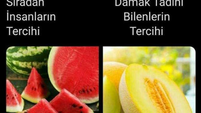 Siz hangisini daha çok seviyorsunuz?