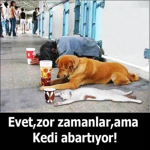 Hesap ödemeyi kadın yapmak isterse erkekler ne düşünür?