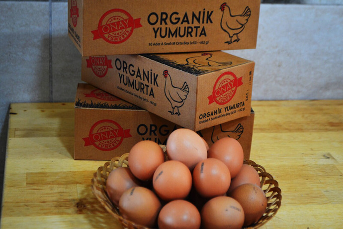 Organik Yumurta