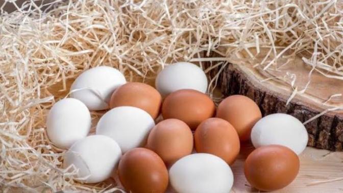 En iyi yumurta markası hangisi? Hangi marka yumurta önerirsiniz?