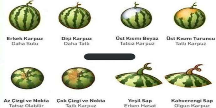 İyi bir karpuz seçmenin püf noktaları nelerdir?