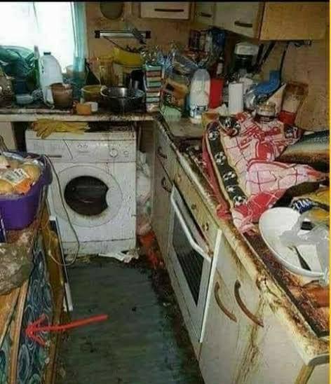 Mutfağa halı alıcam da, hangi renk halı gider KizlarSoruyor?
