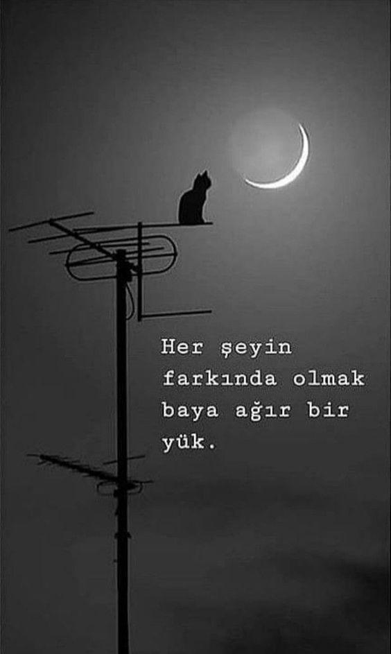 Her şeyi bilmek insana ağır gelir mi?