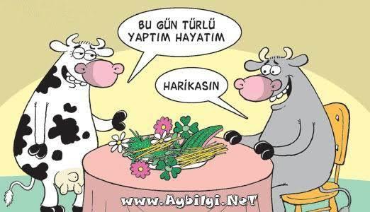 Benim gibi yemek yemeyi işkence gören var mı?