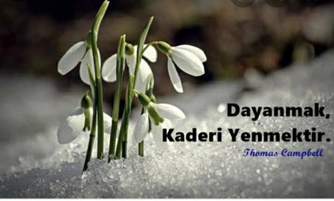 Hayat yolunda önünüze çıkan dik yokuşlara ne kadar dayanıklısınız?