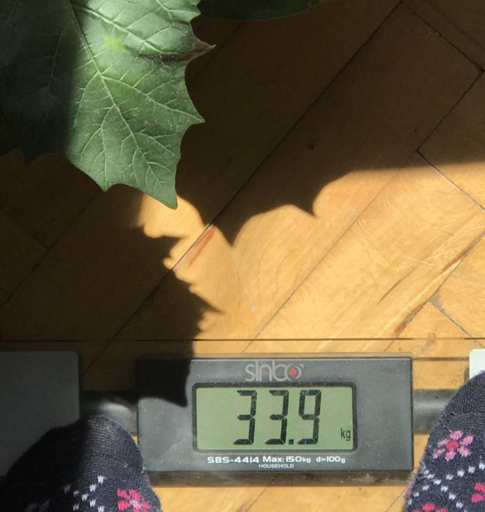 Maksimum kadın kilosu bence bu kadar olmalı arkadaşlar. Fazlası obezitedir. Aksini iddia eden obezdir. Haksız mıyım?