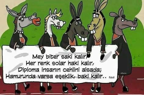 Favori atasözünüz hangisi? 🤔?