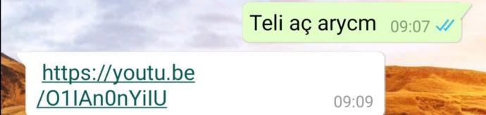 Zorla evlendiriliyorum. Ne yapmalıyım?