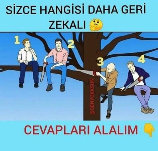 Sizce hangisi acaba?