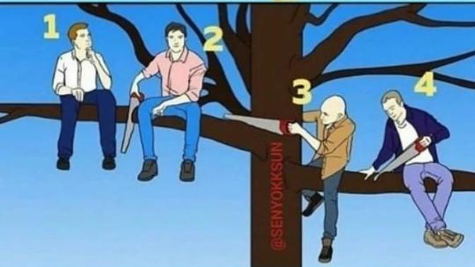 Sizce hangisi acaba?