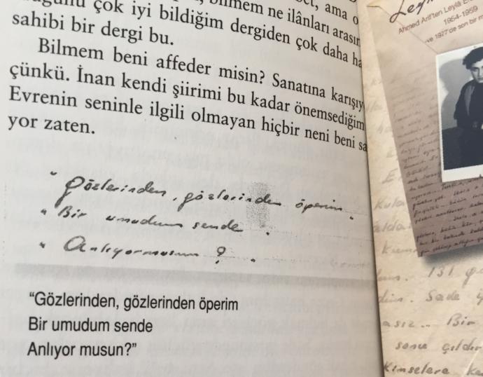 Ama bunu koydum
