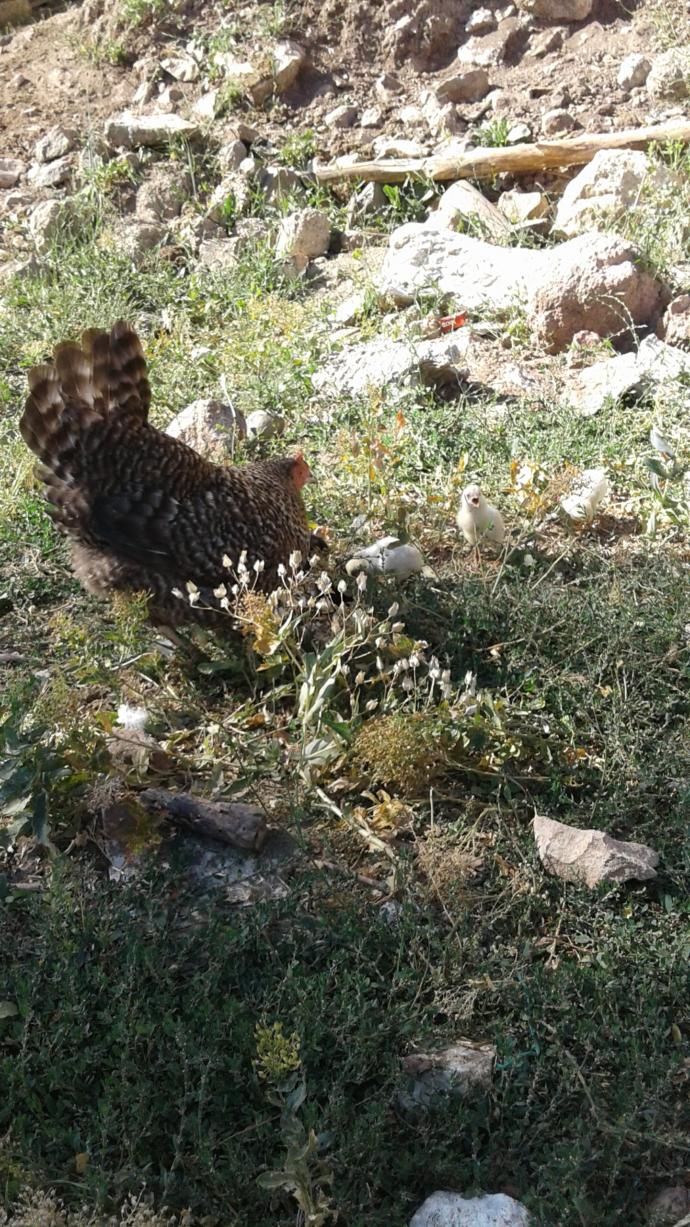 Fotoğraf çekmeyi sever misiniz? Amatör fotoğrafçılık hakkında ne düşünüyorsunuz?