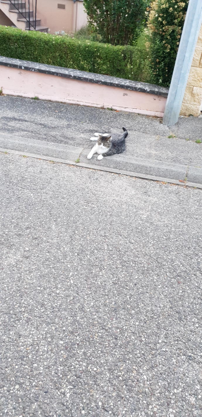 Fotoğraf çekmeyi sever misiniz? Amatör fotoğrafçılık hakkında ne düşünüyorsunuz?