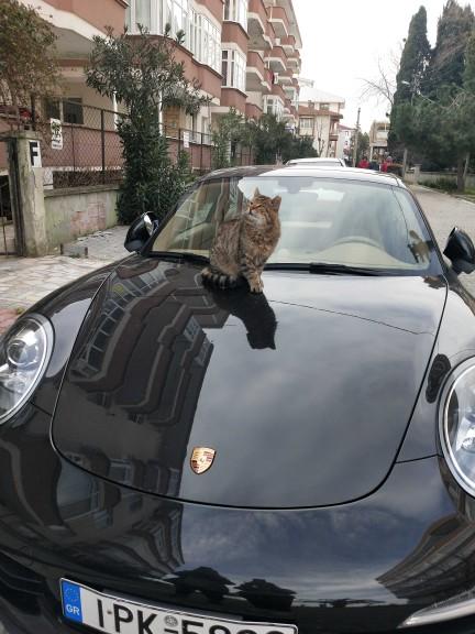 Fotoğraf çekmeyi sever misiniz? Amatör fotoğrafçılık hakkında ne düşünüyorsunuz?