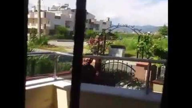 Bu olay hakkında ne düşünüyorsunuz?