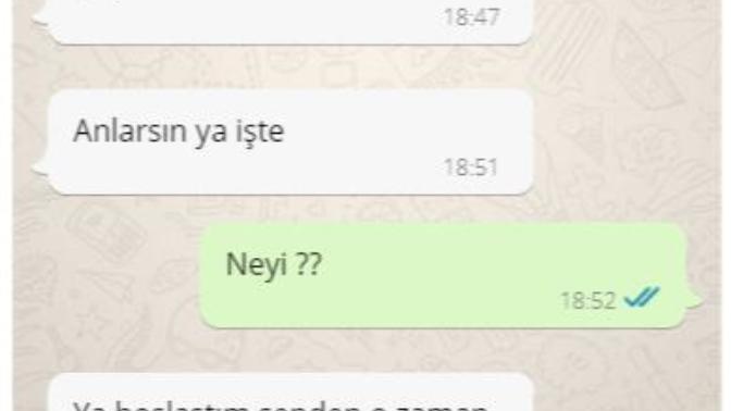Kardeşim dediğim kız lezbiyen çıktı. Bu mesajları atmış bana, ne yapayım ben bunu?