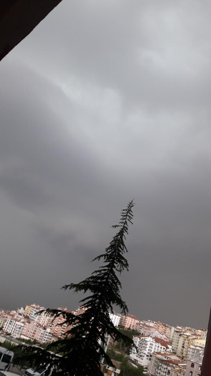 Ankaraya gri şehir diyenler haklı mı?