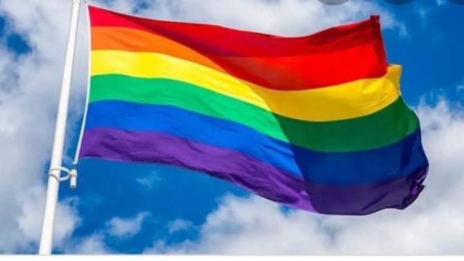 Çocuğunuz ileride Lgbt bireyi olsa tepkiniz ne olur?