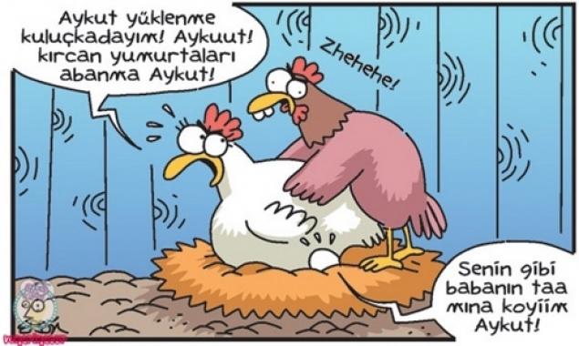 Aykut gibi