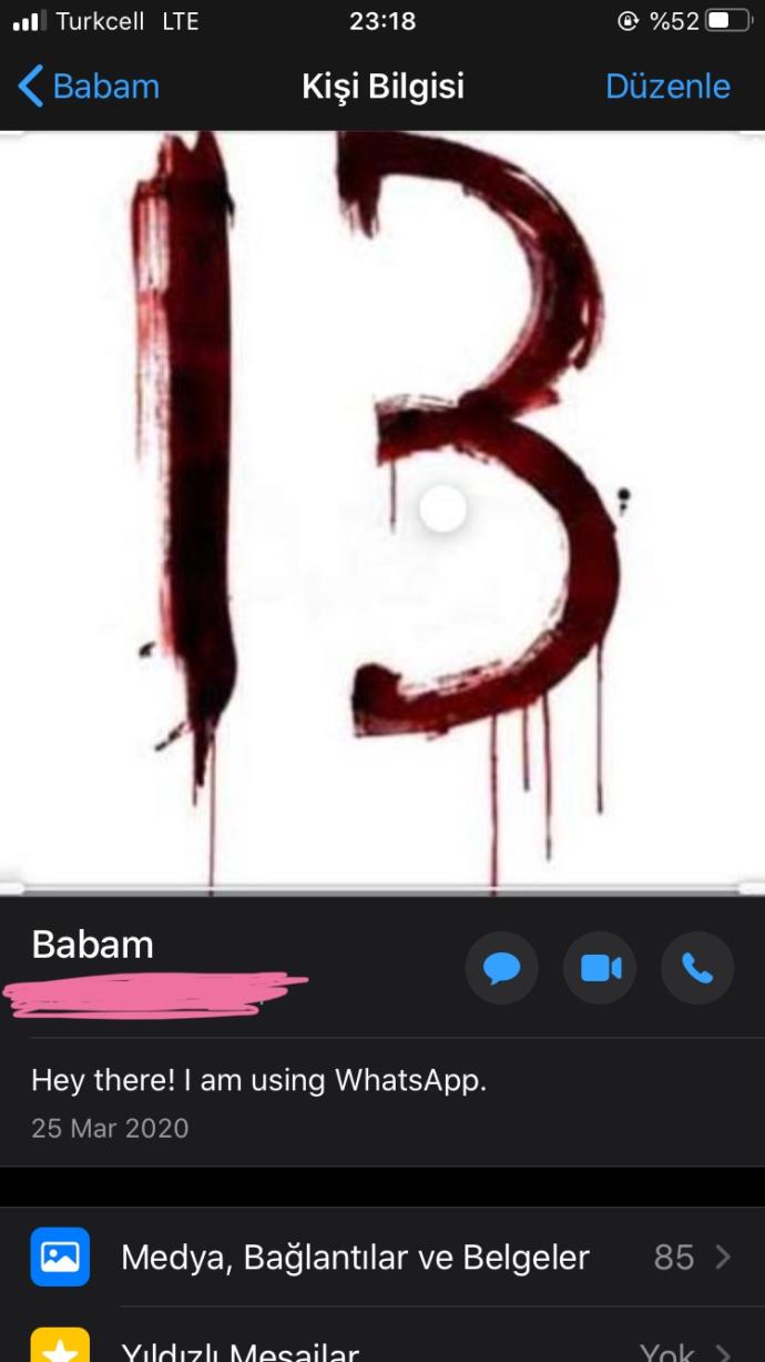 Babam doğum gününü kutlamayı unuttuk sandi diye wp profil fotosunu kanlı 13 yapmış bu kaçıncı seviye?