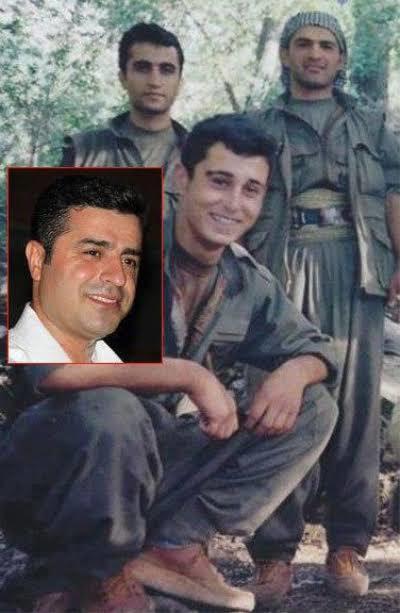 Sakarya Cumhuriyet Başsavcılığı, Başak Demirtaş'a hakaret eden şahıs hakkında soruşturma başlattı! Bu kadar saygısızlık neden?