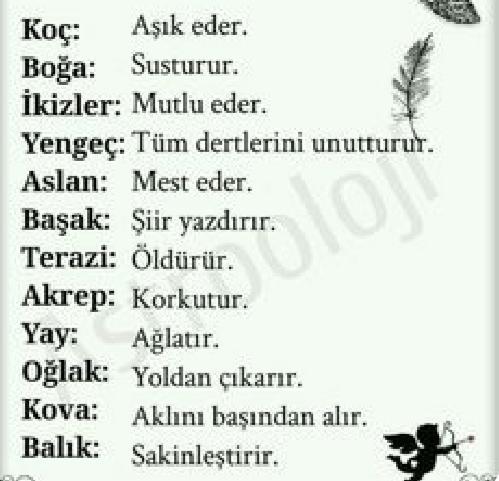 Burçlar bir bakışıyla neler yapar?
