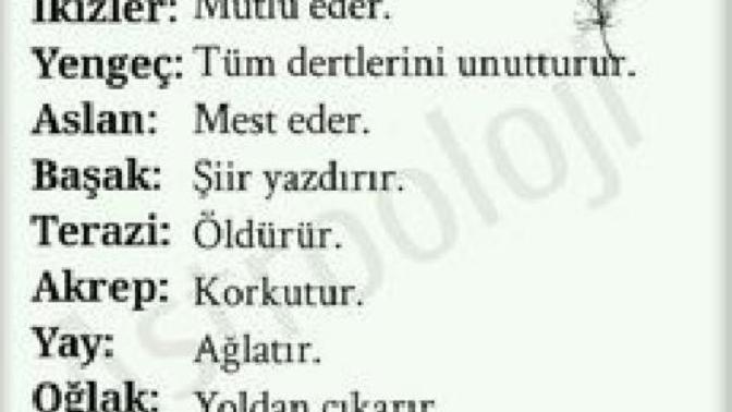 Burçlar bir bakışıyla neler yapar?