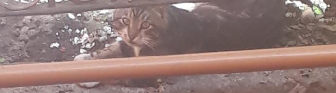 KizlarSoruyor ailesi olarak 1 kap su etkinliği başlatıyoruz. Kimler bana destek olur?