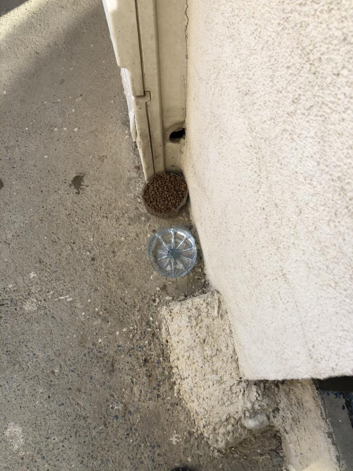 KizlarSoruyor ailesi olarak 1 kap su etkinliği başlatıyoruz. Kimler bana destek olur?