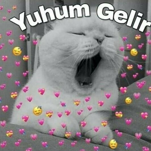 Sahiden iyi mi geceler 😀?