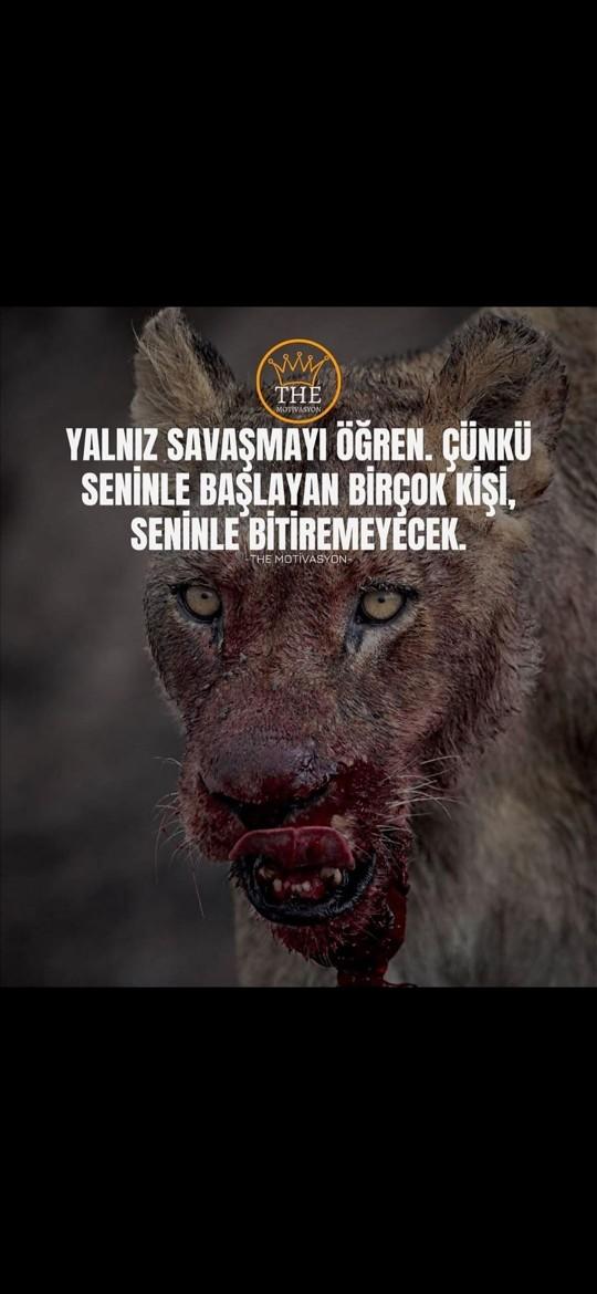 Yalnız savaşmayı biliyor musun?