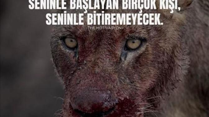Yalnız savaşmayı biliyor musun?