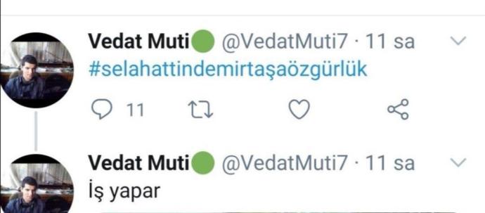 Türkiye Kürtlere karşı ırkçılık mı uyguluyor?
