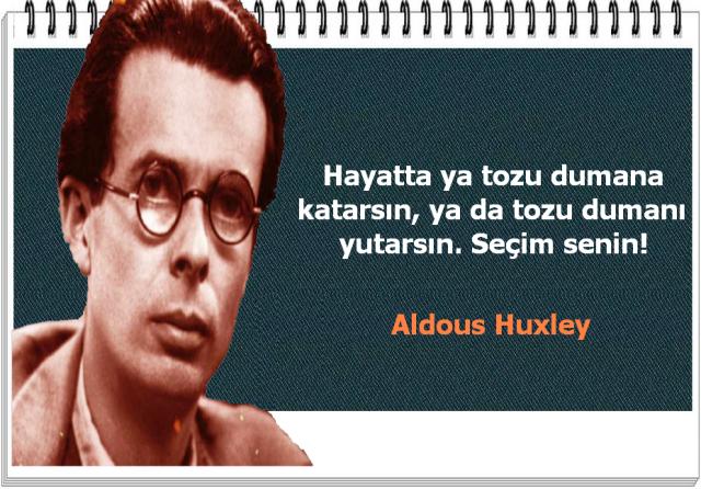 Tozu dumana katan mısın yoksa tozu dumanı yutan mısın, neden?