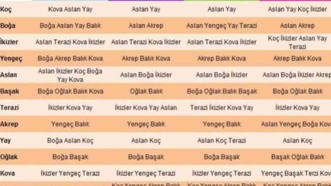 Burç uyumu diye bir şey var mı?