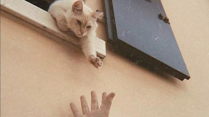 Zor zamanlarınızda size yardım eli uzatan insanlar var mı?