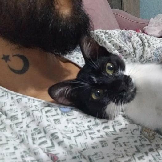 Evcil hayvanınız size son derece bağlı mı?