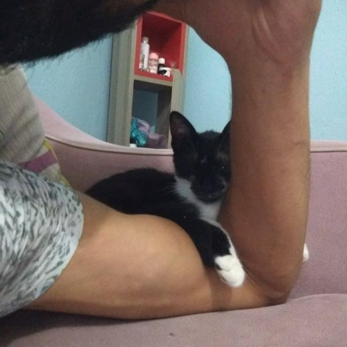Evcil hayvanınız size son derece bağlı mı?