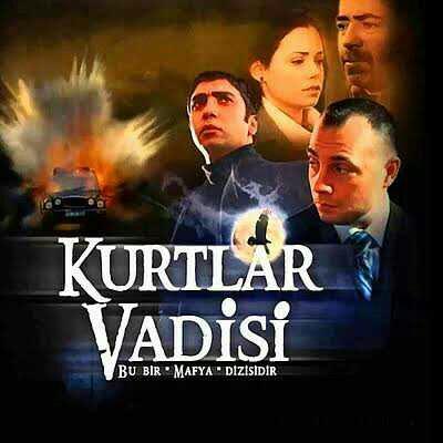 Kurtlar Vadisi dizisini beğeniyor muydunuz? Pusu mu yoksa Vadi mi?