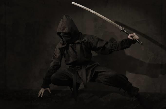 Ninja kadınlar hakkında ne düşünüyorsunuz?