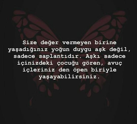 Aşk nedir? hiç aşık oldunuz mu?