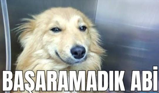Bu hayatta neyi başardın?