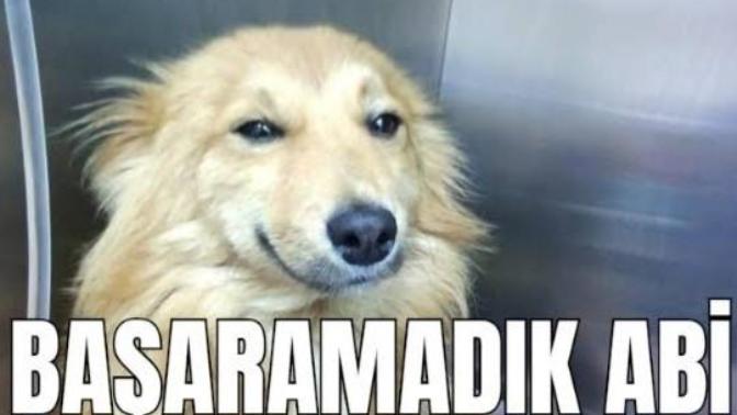 Bu hayatta neyi başardın?