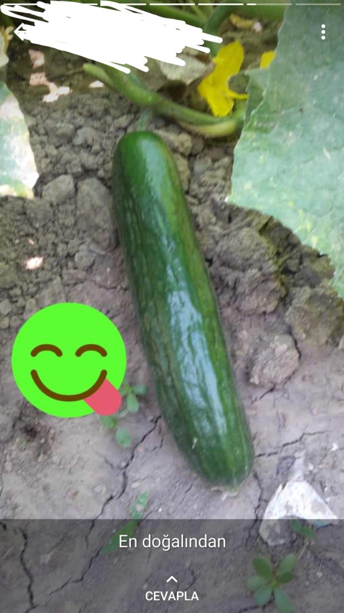 Bu kadının ve bu durumun amacı ne sizce?